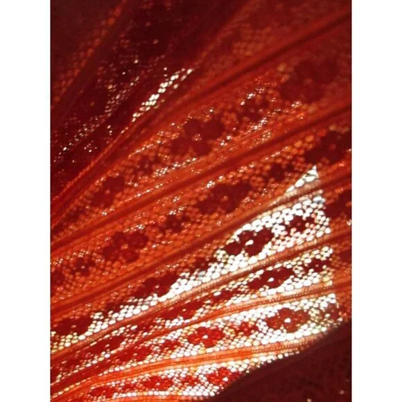 Vintage Women's Dress 6/8 1960's Mesh/Lace Burnt Orange Handmade Shift Mod